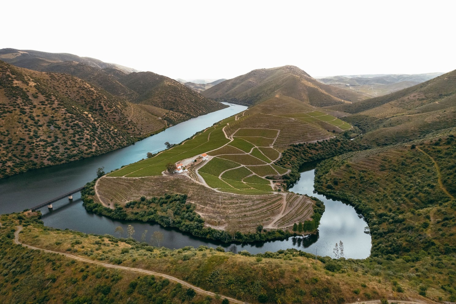 Vista do Douro