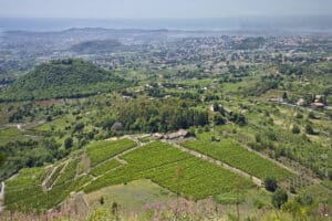 Vigneti Etna 1