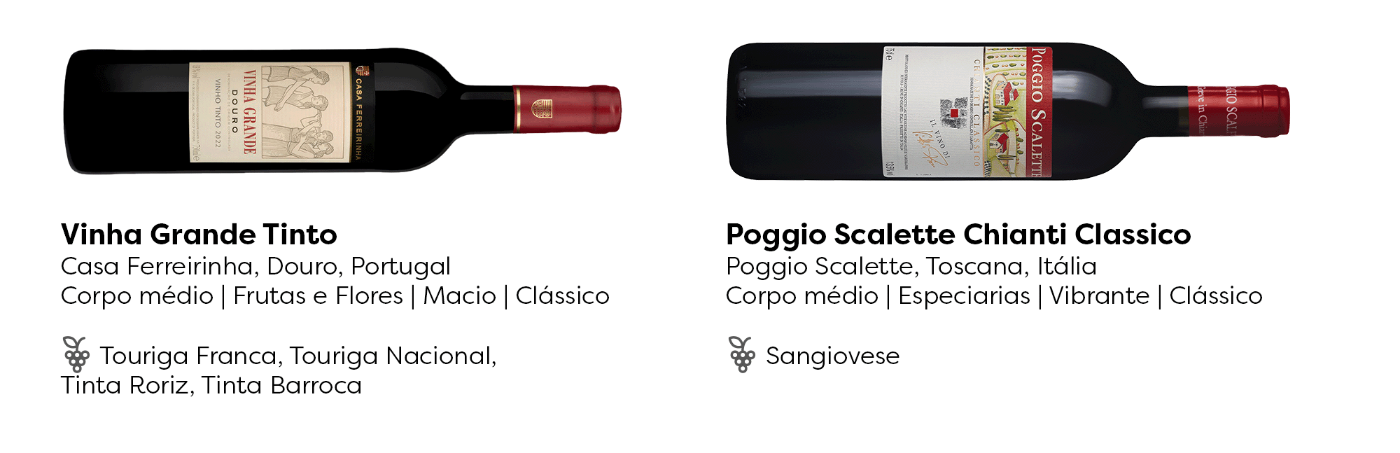 2 4 1 e1763141805125